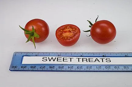 Cherry paradicsom növekszik az országban, videó