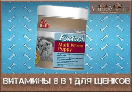 Vitaminok 8 az 1-ben a kölykök, vélemények, ár, hogyan kell adni (a kölykök) Vitaminok 8 az 1-ben a kölykök, vélemények, ár, hogyan kell adni