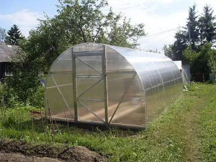 Növekvő uborka télen a talaj-előkészítés, a technológia, fajták, ültetés és gondozás (uborka) Növekvő uborka télen a talaj-előkészítés, a technológia, fajták, ültetés és gondozás