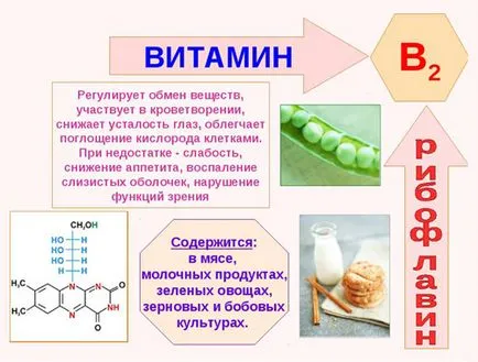 B2-vitamin (riboflavin) - hatása van a szervezetben, előnyök és ártalmak leírás