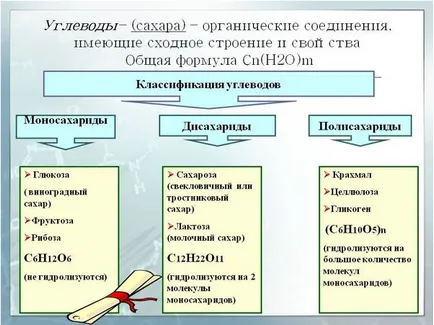 Mely élelmiszerek tartalmaznak szénhidrátot termékek listáját és asztalok (szénhidrátok) Mely élelmiszerek tartalmaznak szénhidrátot termékek listáját és táblázatok