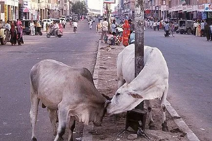 All India