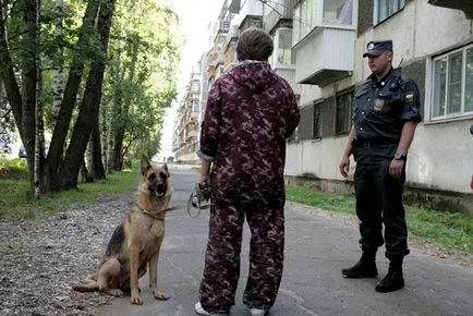 Minden szájkosarat kutyák, hogyan kell kiválasztani, hogyan tedd magad, hogyan kell tanítani és fotó (kutya) Minden szájkosarat kutyák, hogyan kell kiválasztani, hogyan tedd magad, hogyan kell tanítani és képek