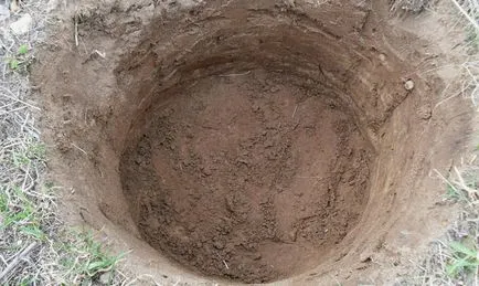 Tárolás káposzta télen - hogyan lehet megőrizni a friss zöldség video (tárolás) Tárolás káposzta télen -, hogyan kell tartani a friss zöldség videó