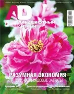 Magazine, kerttervezés torrent ingyenesen letölthető (regisztráció nélkül) Magazine, kerttervezés torrent letöltés ingyenes