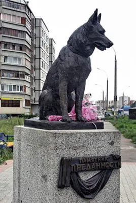 Az élet mentett ... kutya, csak az egészség (élet mentett ... kutya) Az élet van mentve ... a kutya csak az egészségügyi
