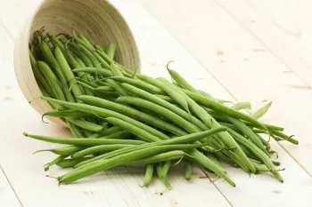 Zöldbab haszon és kár, esetleges ellenjavallatok (ha bab hasznos) Zöldbab haszon és kár, esetleges ellenjavallatok