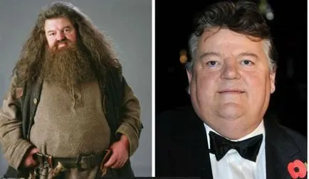 Az élet Harry Potter után, női portál comode