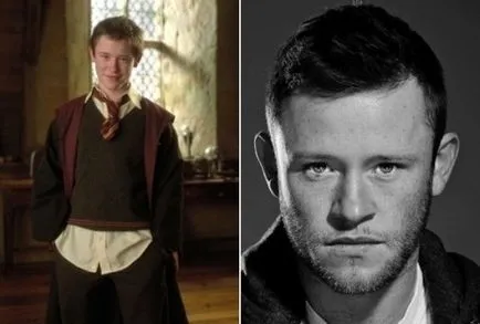 Az élet Harry Potter után, női portál comode
