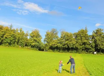Hogyan kell futtatni sárkányok