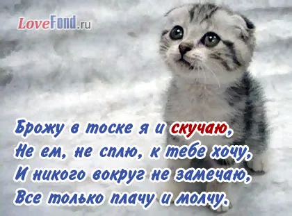 Hogyan lehet képeket