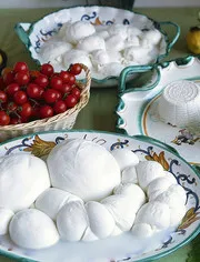 Mit várnak az ülés Mit várnak az ülés