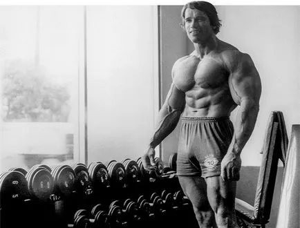Mit vettem Arnold Mit vettem Arnold
