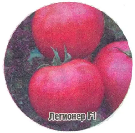 Ultrarannie paradicsom