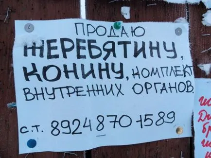 Hogyan élnek a hideg Hogyan élnek a hideg
