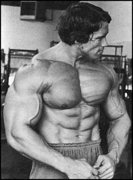 Mit vettem Arnold