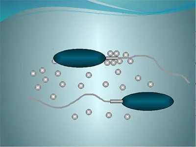 Antisperm elemzés Antisperm elemzés