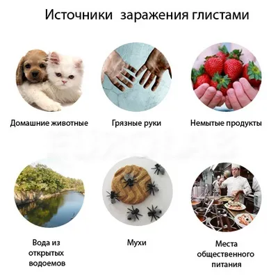 Hogyan kell vizsgálni széklet féreg