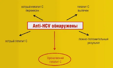 HCV vérvizsgálat, mi ez HCV vérvizsgálat, mi ez