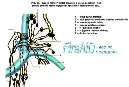 Mi a mellkasi cső