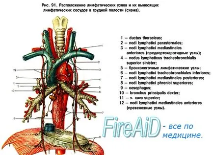 Mi a mellkasi cső
