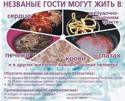 Hogyan kell vizsgálni széklet féreg
