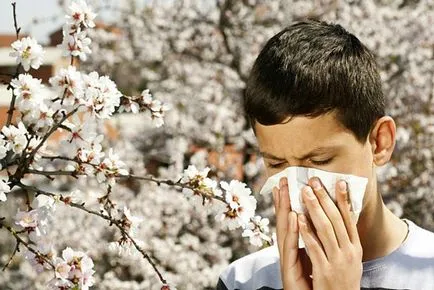 Ne vegye allergiásak a hadsereg Ne vegye allergiásak a hadsereg