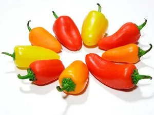 Milyen hasznos bolgár paprika Milyen hasznos bolgár paprika