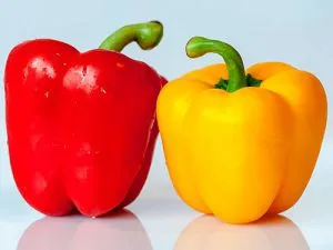 Milyen hasznos bolgár paprika Milyen hasznos bolgár paprika