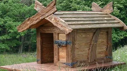Hogyan készítsünk egy otthoni kutyáknak