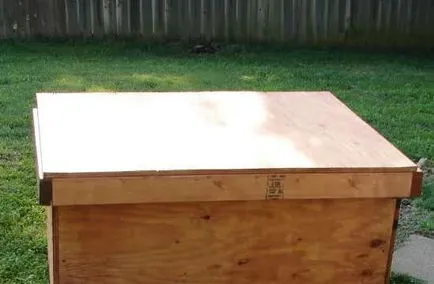 Hogyan készítsünk egy otthoni kutyáknak