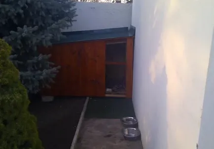 Hogyan készítsünk egy otthoni kutyáknak
