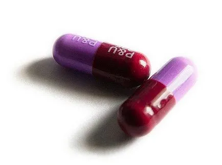 Mindent a lovak és a kezelés Mindent a lovak és a kezelés