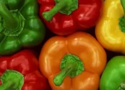 Milyen hasznos bolgár paprika
