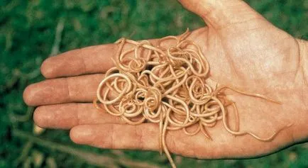 Ez lehetővé teszi a megelőzésére gyermek Ez lehetővé teszi a megelőzésére gyermek