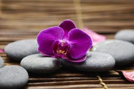 Feng Shui is
