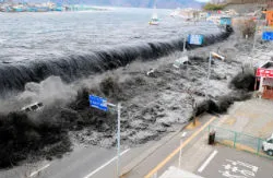 Mi van tsunam