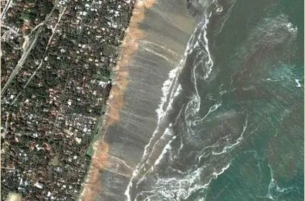 Mi van tsunam