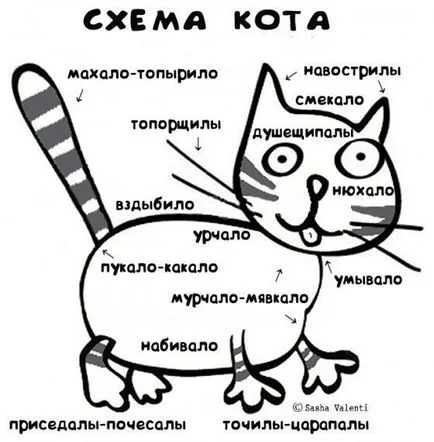 Hol van a macska, hogy