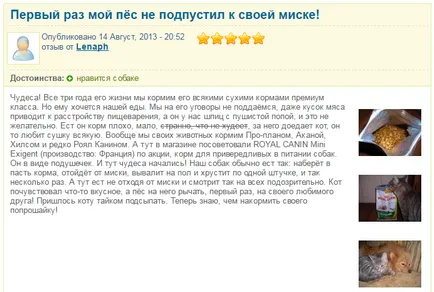 Takarmány Royal Canin Kutyáknak Takarmány Royal Canin Kutyáknak