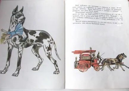Működik a kutyák Működik a kutyák