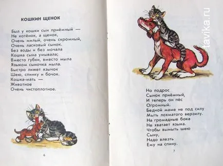 Működik a kutyák Működik a kutyák