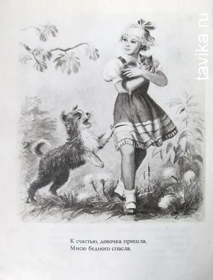 Működik a kutyák Működik a kutyák