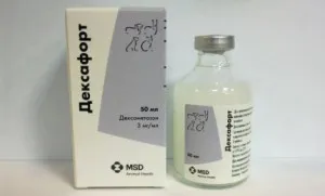 Deksafort macskáknak Deksafort macskáknak
