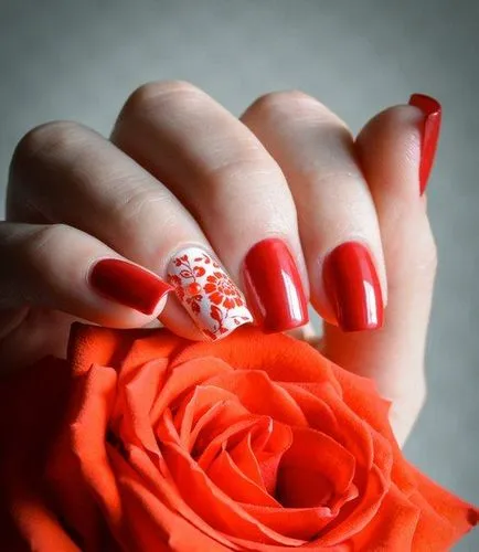 Köröm design nem mintás