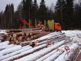Hogyan lehet megoldani a problémát az ökológia