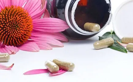 Echinacea mi ez Echinacea mi ez
