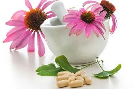 Echinacea mi ez