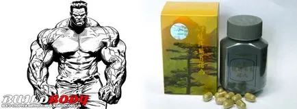 Ginseng kianpi pil meg