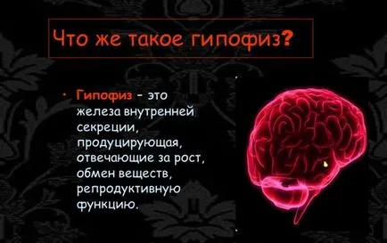 Az agyalapi mirigy az agyban, hogy Az agyalapi mirigy az agyban, hogy